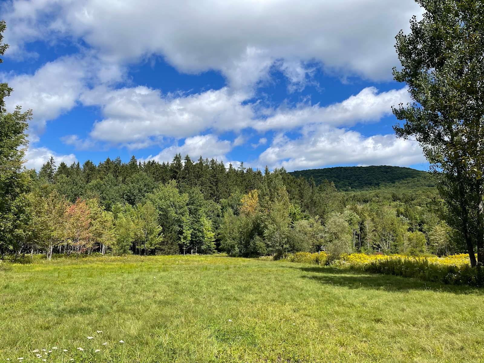 Noah A.’s Land Hipcamp in Fleischmanns, New York