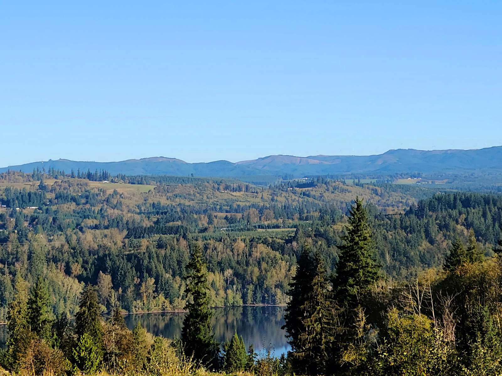 Vista Bella Camp Hipcamp in Mossyrock, Washington