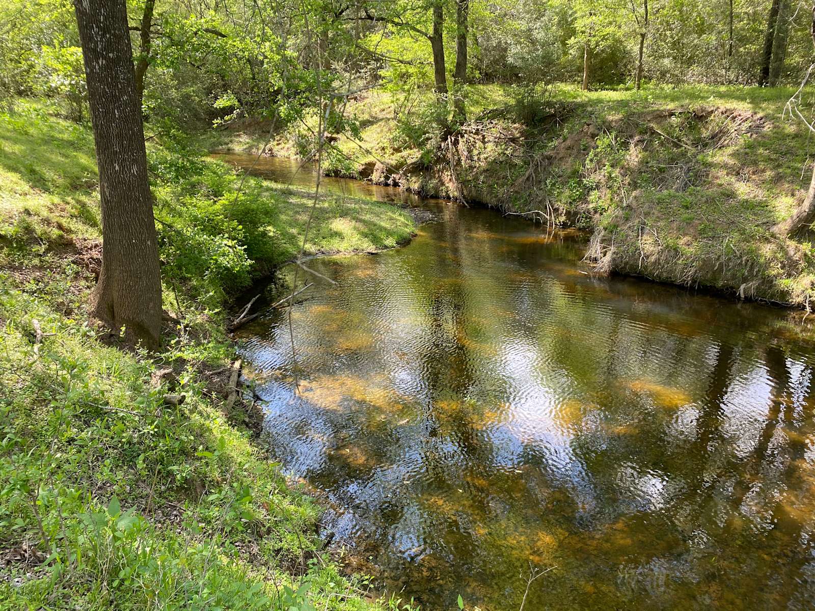 Bluff Creek Wilderness Preserve Hipcamp in Lincoln, Texas