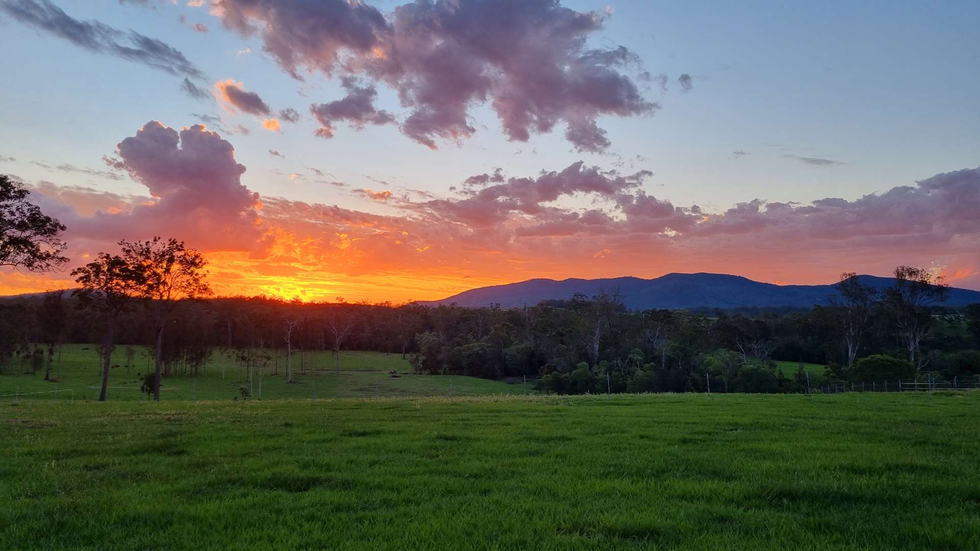 Nyima at Bauple Mountain Hipcamp in Bauple, Queensland