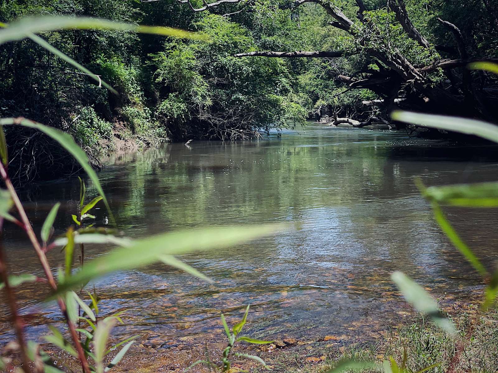 Bunya Farm Bellingen - Photo 2