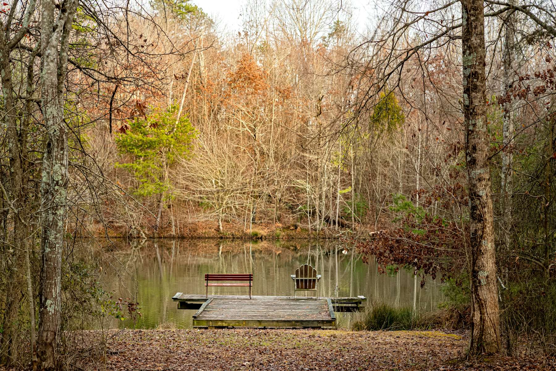 Legacy Acres Farm Hipcamp in Lawndale, North Carolina
