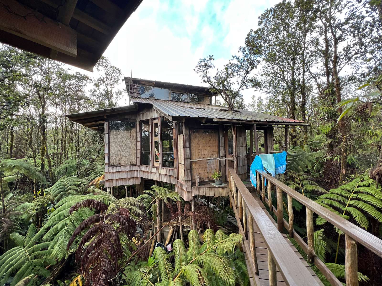 TreeHouse in canopy of trees Hipcamp in Mountain View, Hawaii