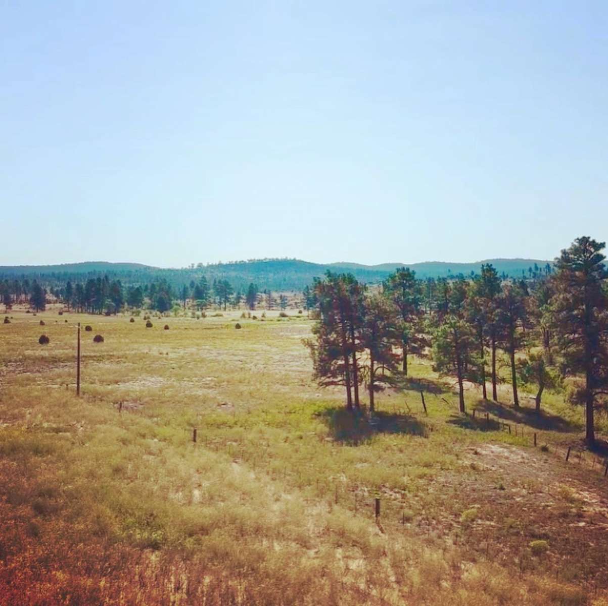 The Pearson Homestead Hipcamp in Pinedale, Arizona