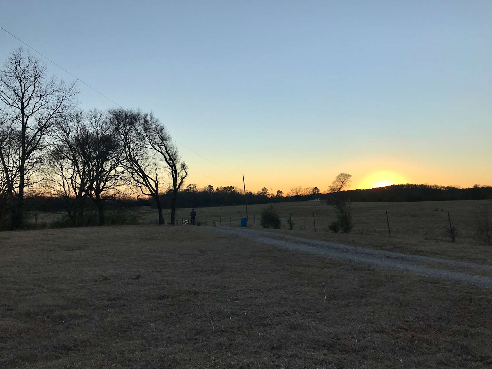 Royal Berry Farm Hipcamp in Royal, Arkansas