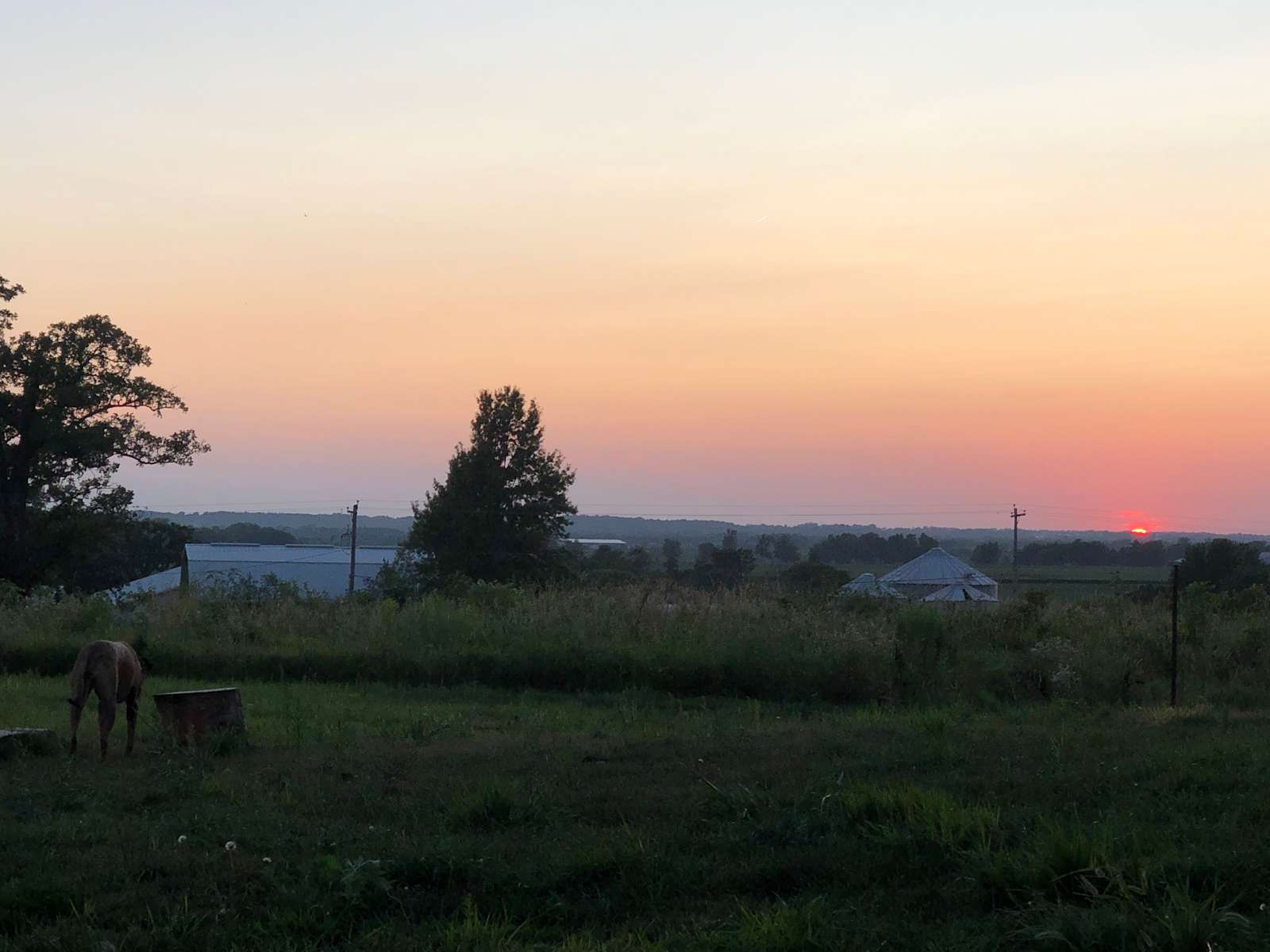 Relax in the Sunshine - Hipcamp in Iowa City, Iowa