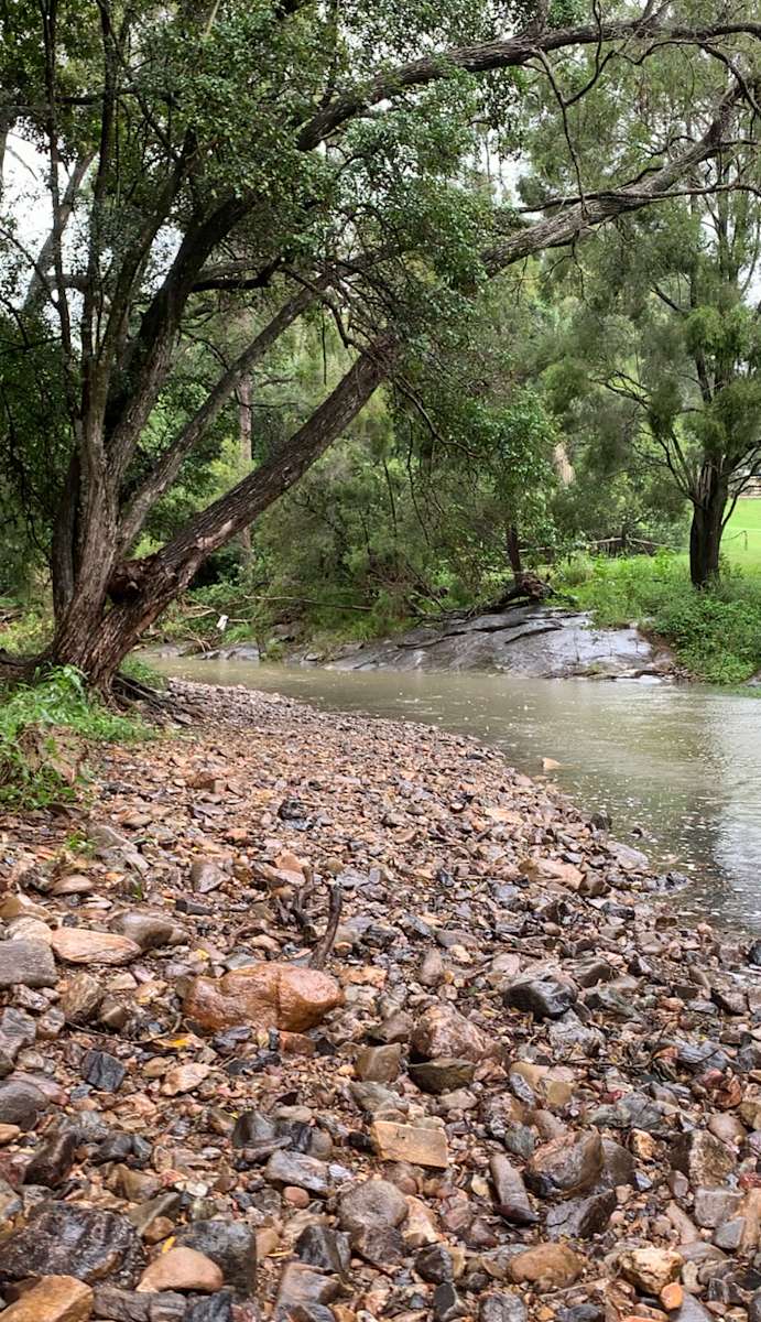 Serene Raintree Retreat Hipcamp in Wongawallan, Queensland