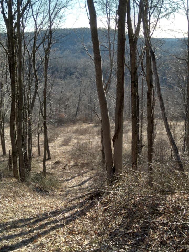 The Stone House Hipcamp in Nettie, West Virginia