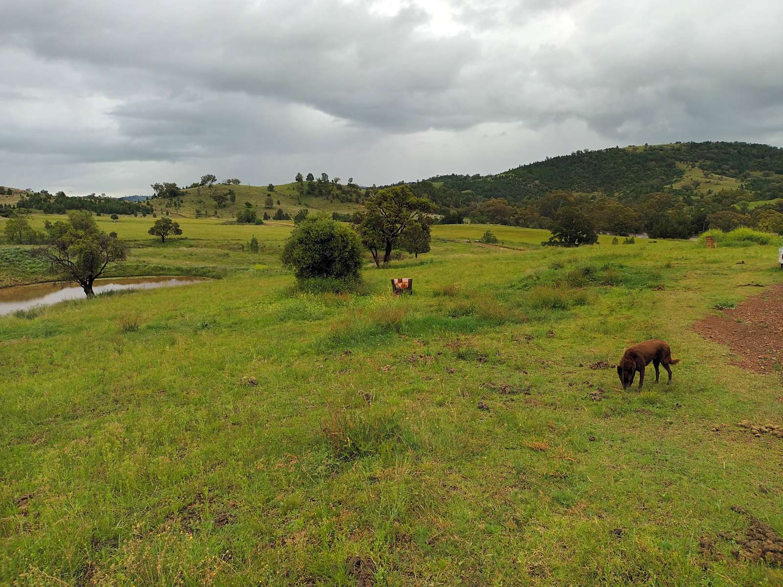 Namoi Valley Escape - Hipcamp in Manilla, New South Wales