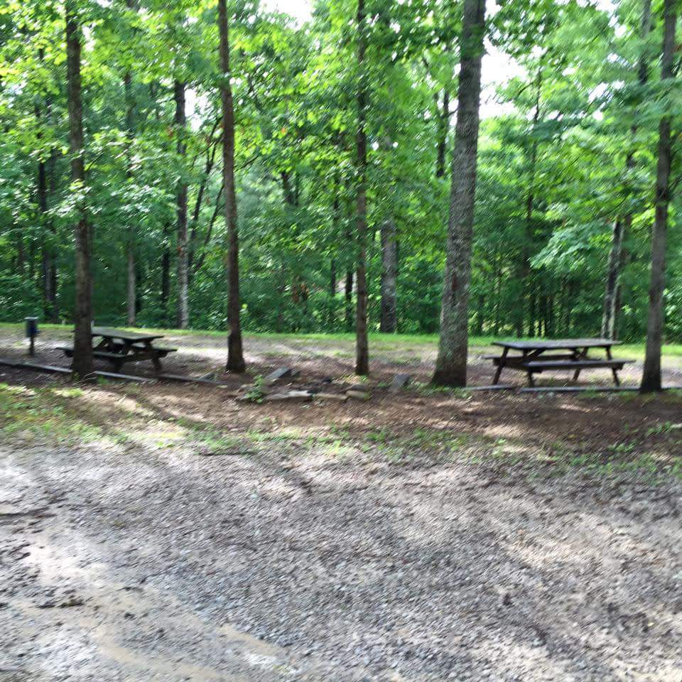 Spruce Creek Campground and Stables Hipcamp in Jamestown, Tennessee