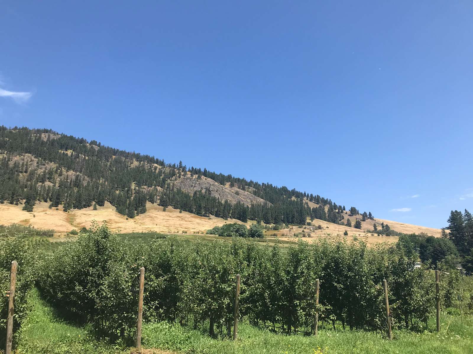 Cidery & Apple Orchard Hipcamp in Lavington, British Columbia