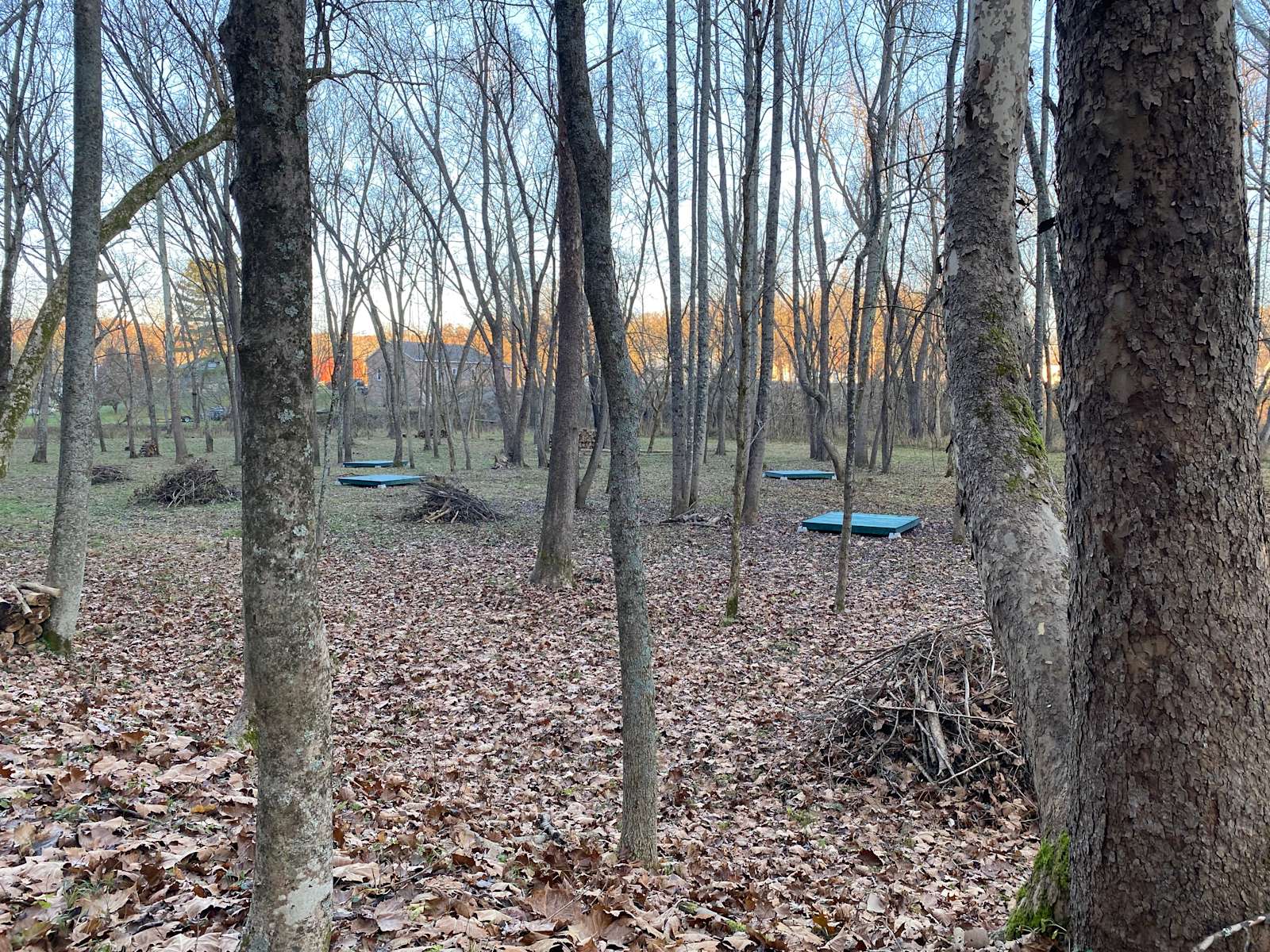 Baileys campground outlet