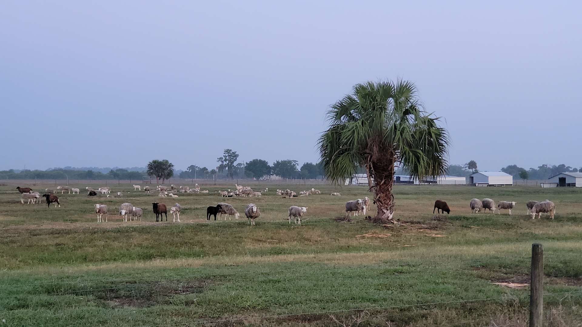 Circle C Farm ArgiCamping™ RV Park Hipcamp in Immokalee, Florida