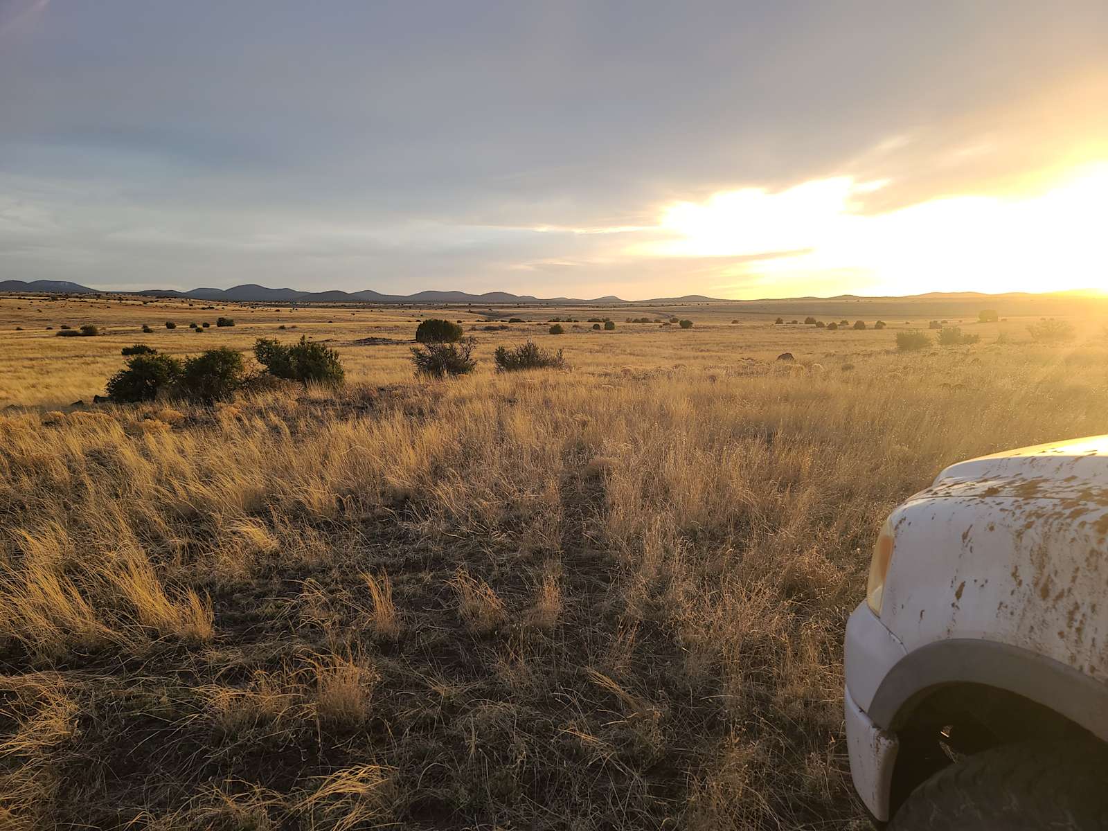Disconnect From Reality Campsite Hipcamp in Vernon, Arizona