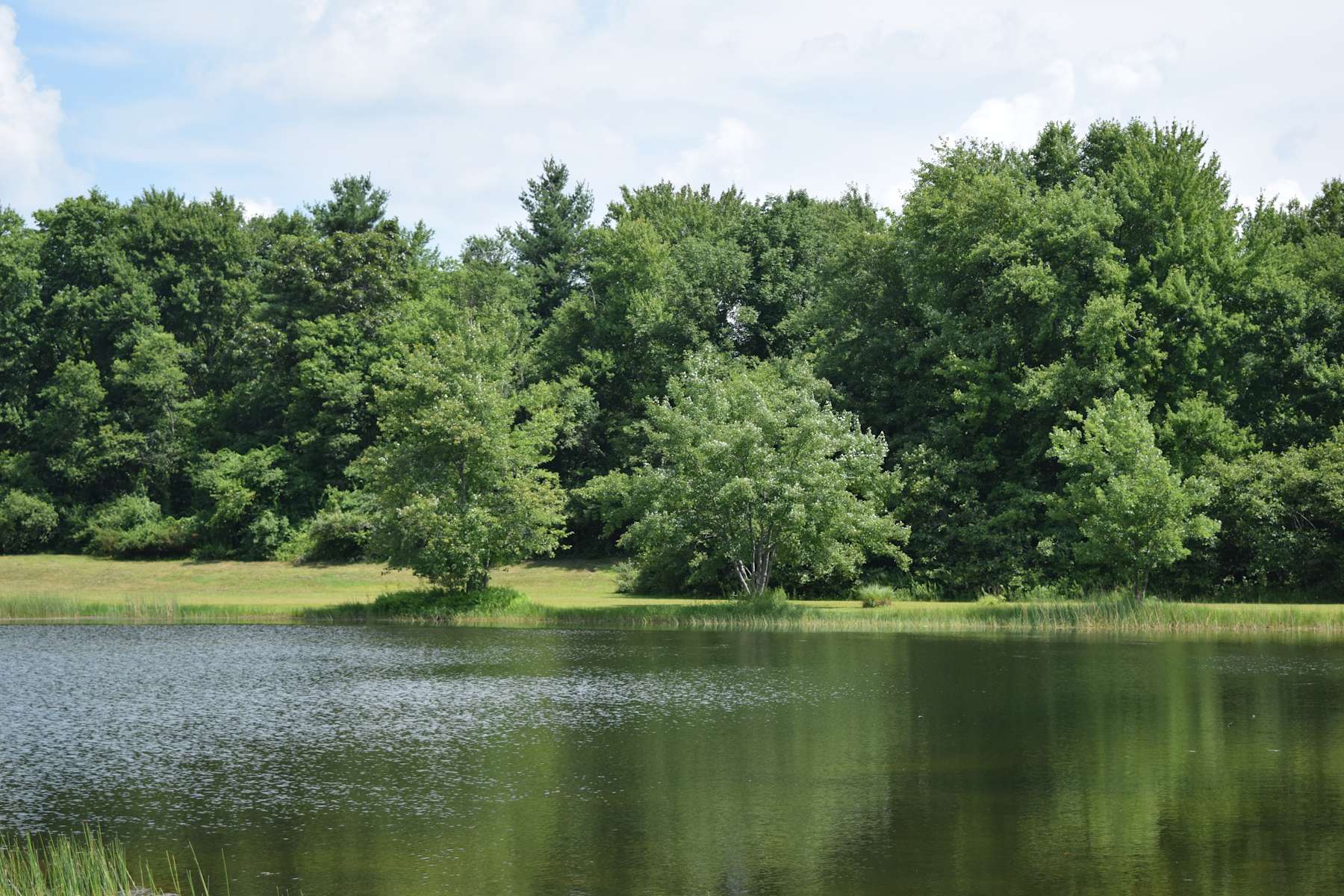 The Quarry Campground Hipcamp in Tolland, Connecticut