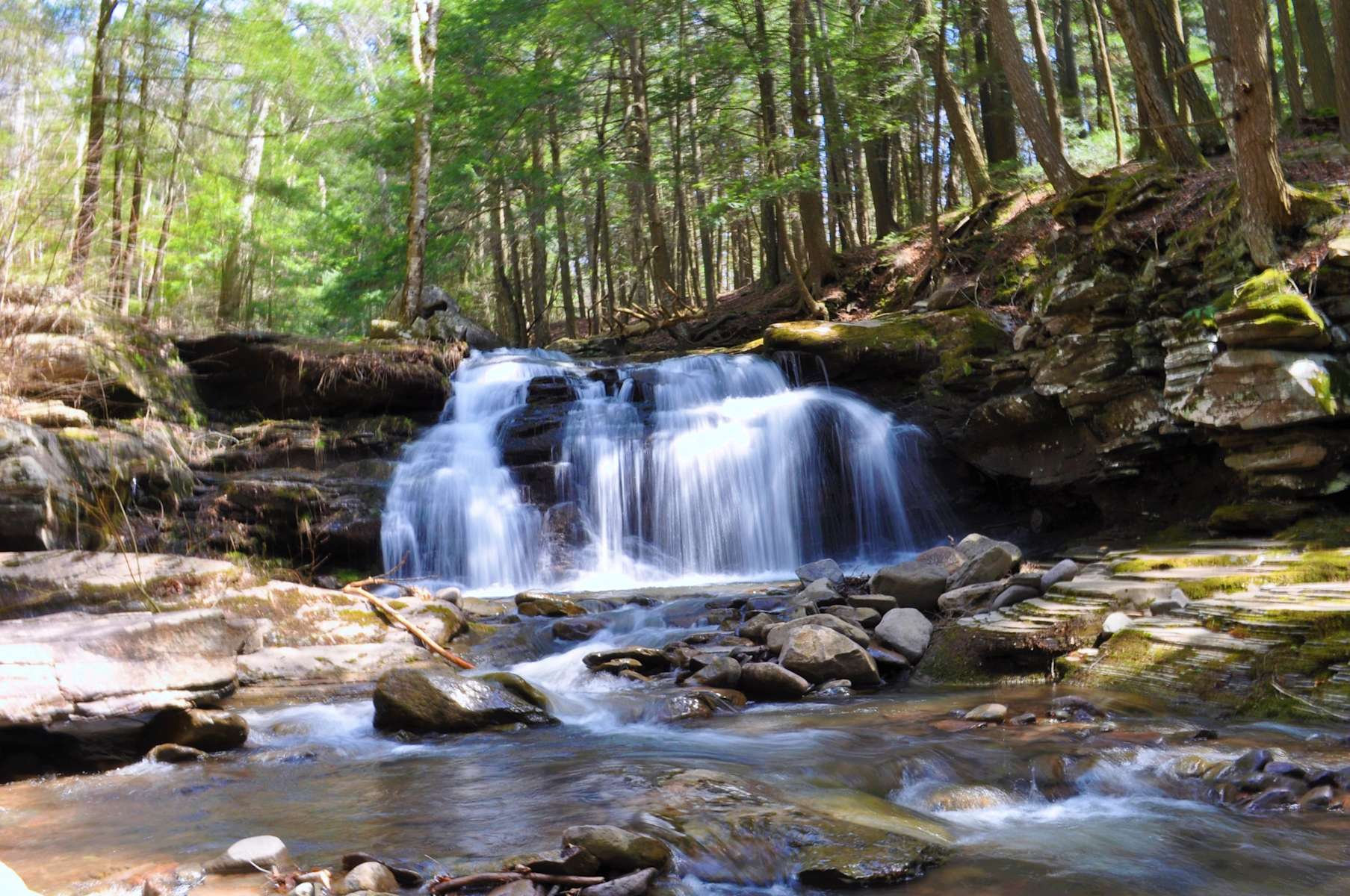 Timberland Falls Hipcamp in East Jewett New York