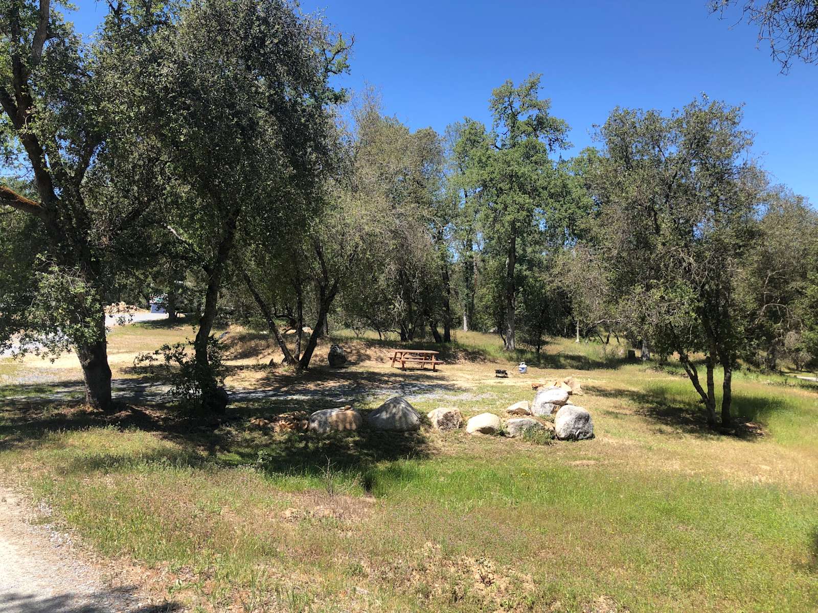 Manzanita campground store