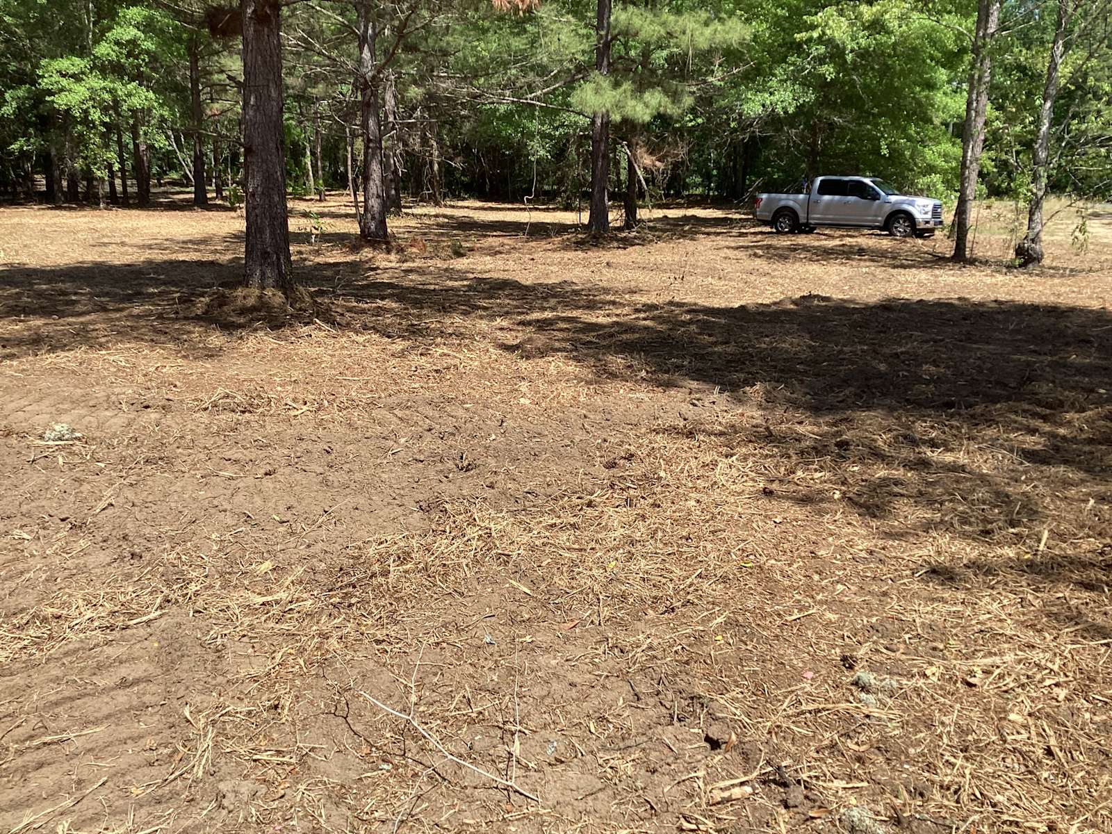 Martin Family Farms Hipcamp in Salley, South Carolina