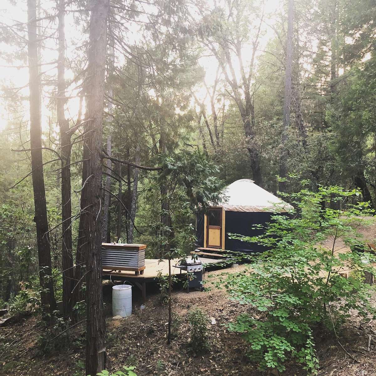 Homestead Hideaway Hipcamp in Nevada City, California