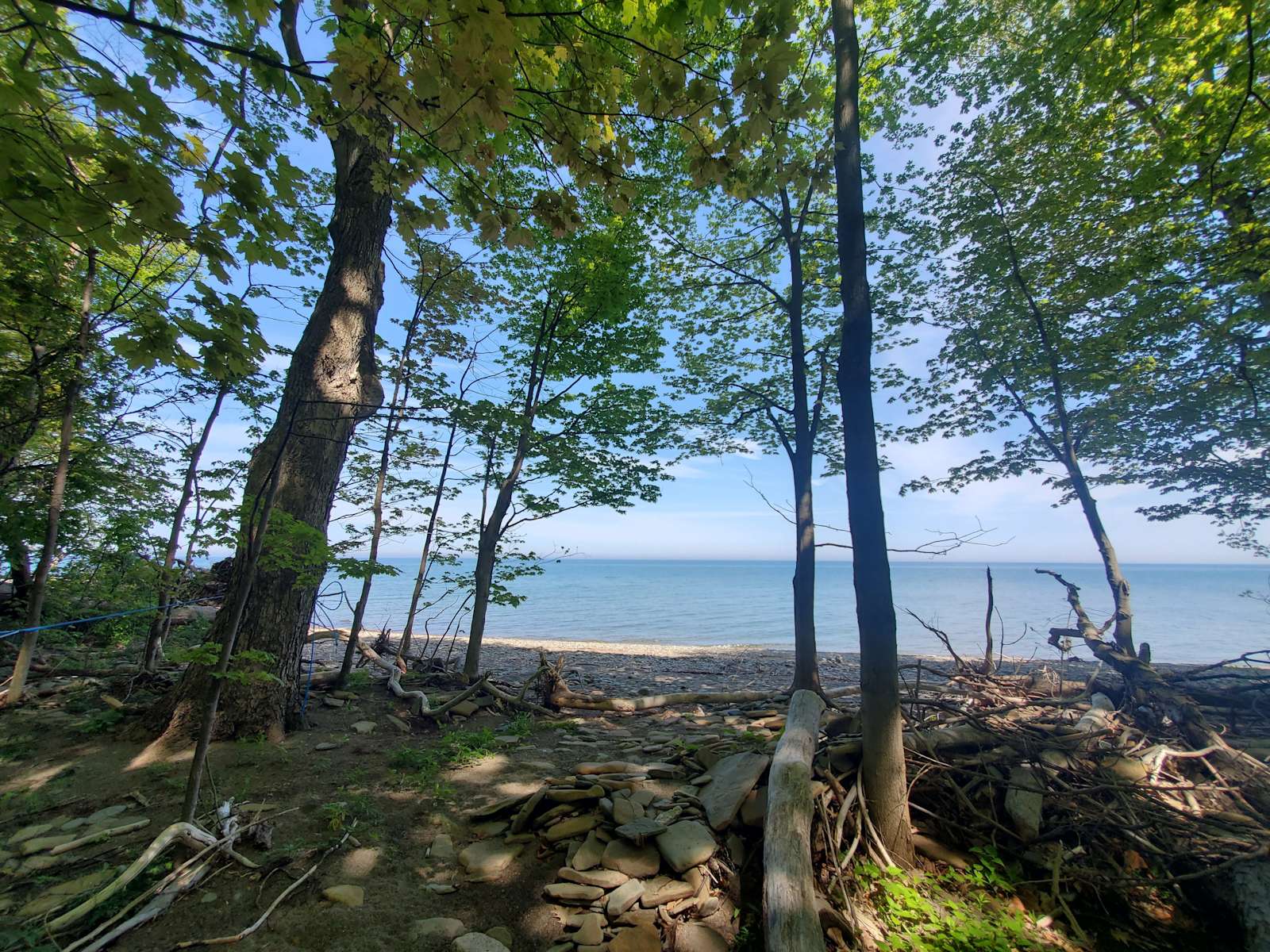Steelhead Run Recreation Area Hipcamp in Westfield, New York
