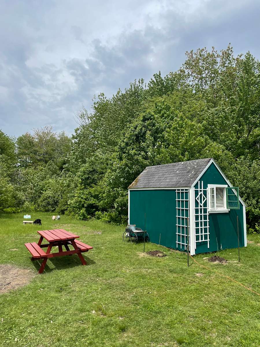 Sun Shed Farm Stay Hipcamp in Milbridge, Maine