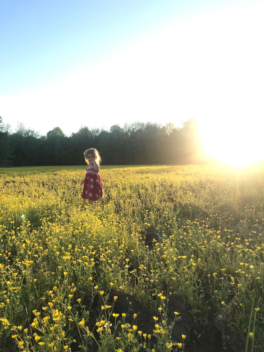 Faulkner Farms Hipcamp in Oak Grove Heights, Arkansas