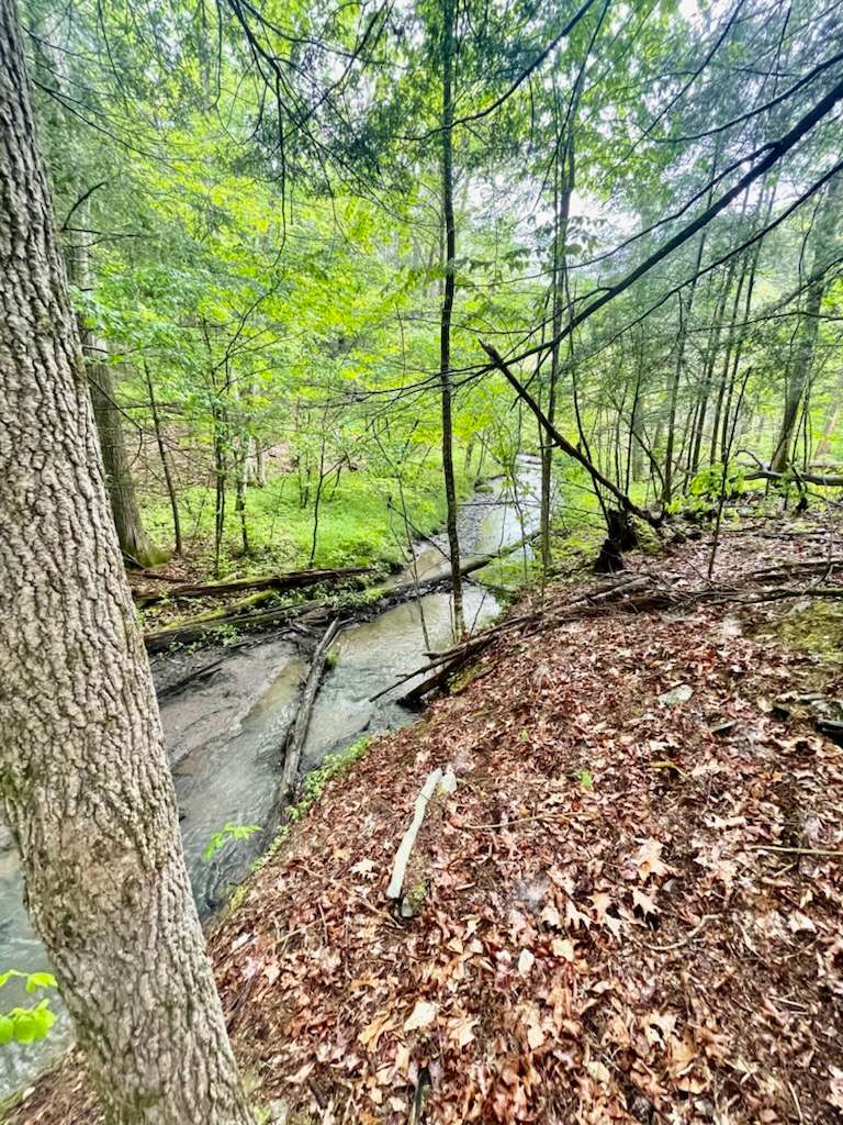 Cranberry Creek Hipcamp in Odessa, New York