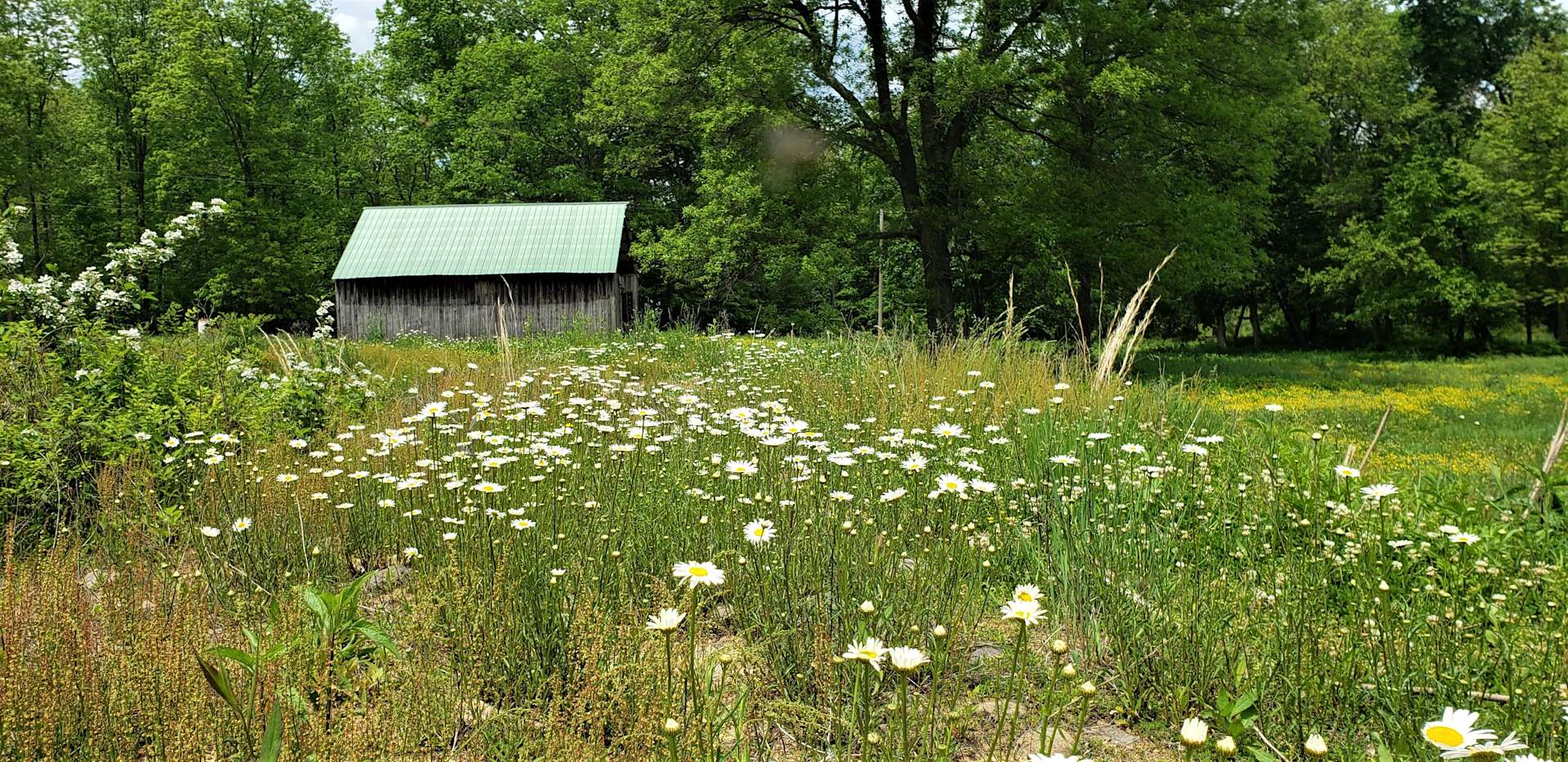 Arcadia Valley BaseCamp Hipcamp in Arcadia, Missouri
