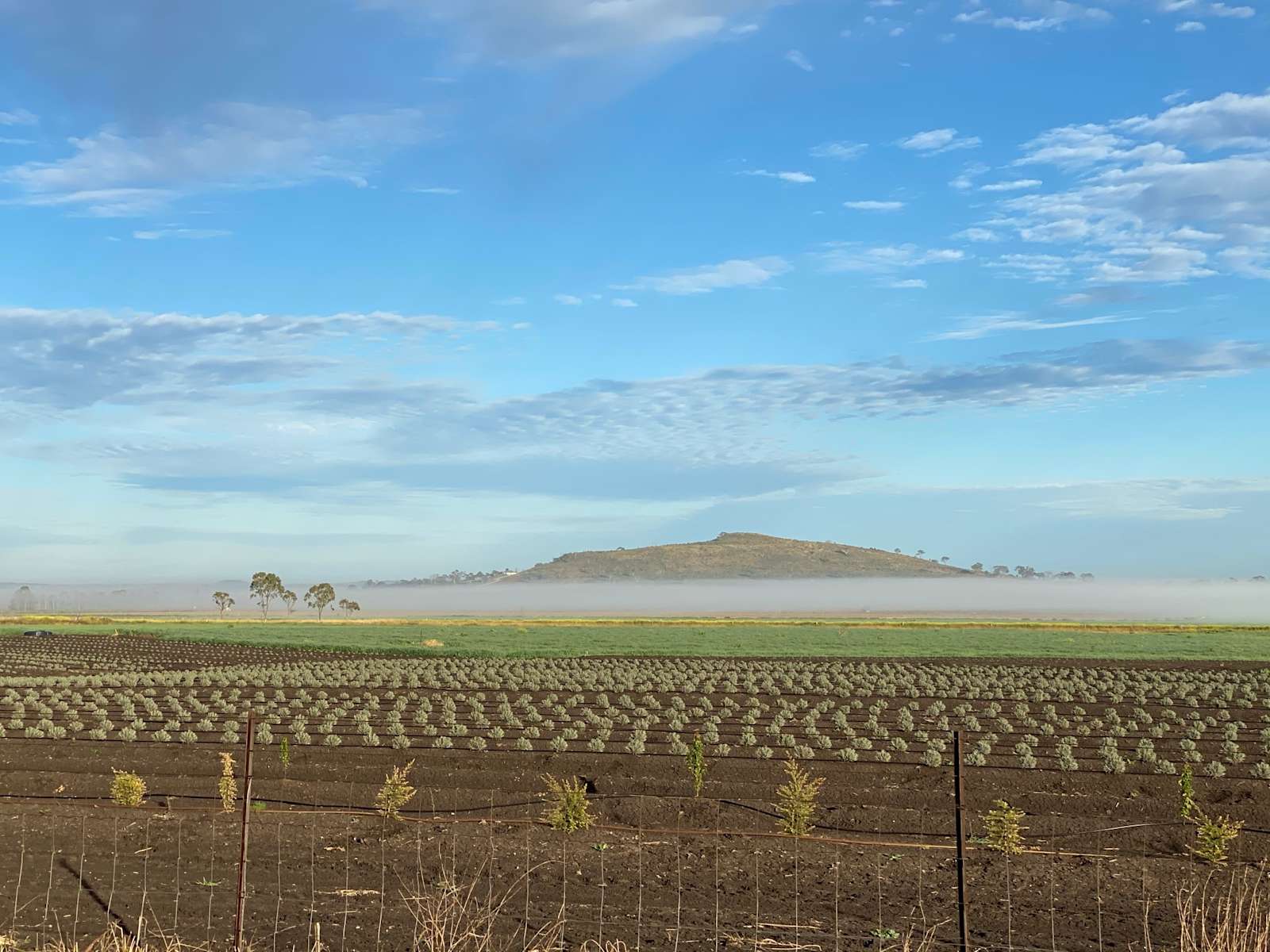 Windy Acres Farm Hipcamp in Westbrook, Queensland