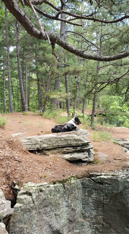 Slabtown horse camp outlet