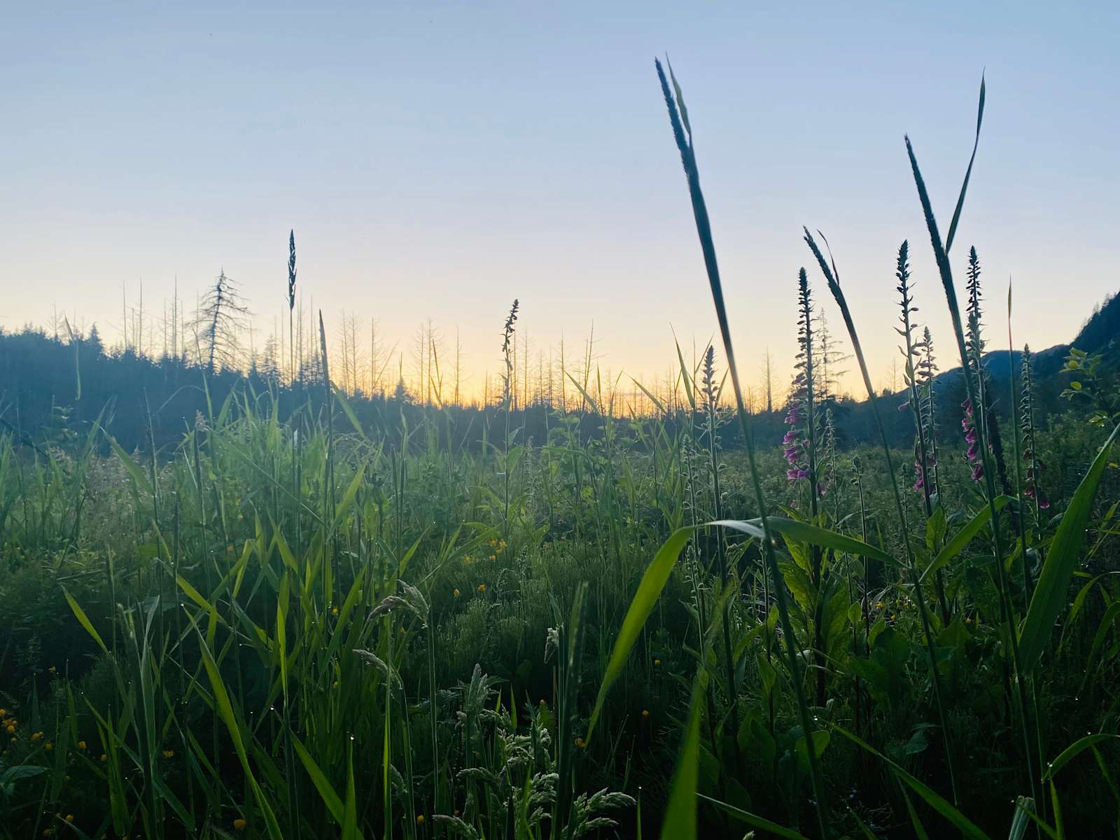 Lookout! Arts Quarry Campground Hipcamp in , Washington