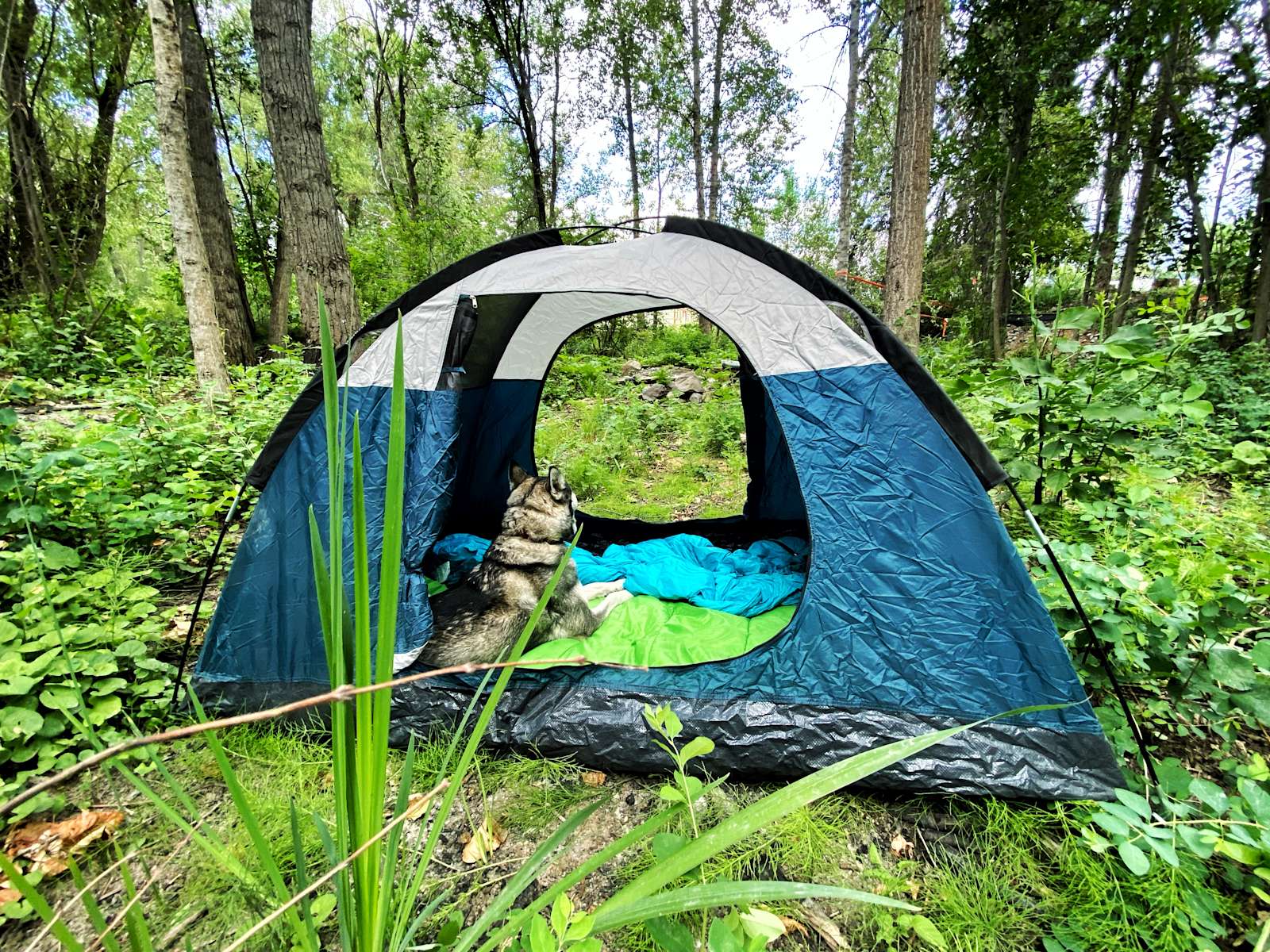 Mission Creek Project Hipcamp in St Ignatius, Montana