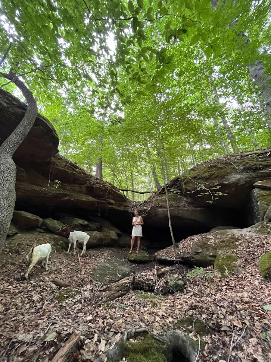 Fox Den Farm Hipcamp in Laurens, South Carolina