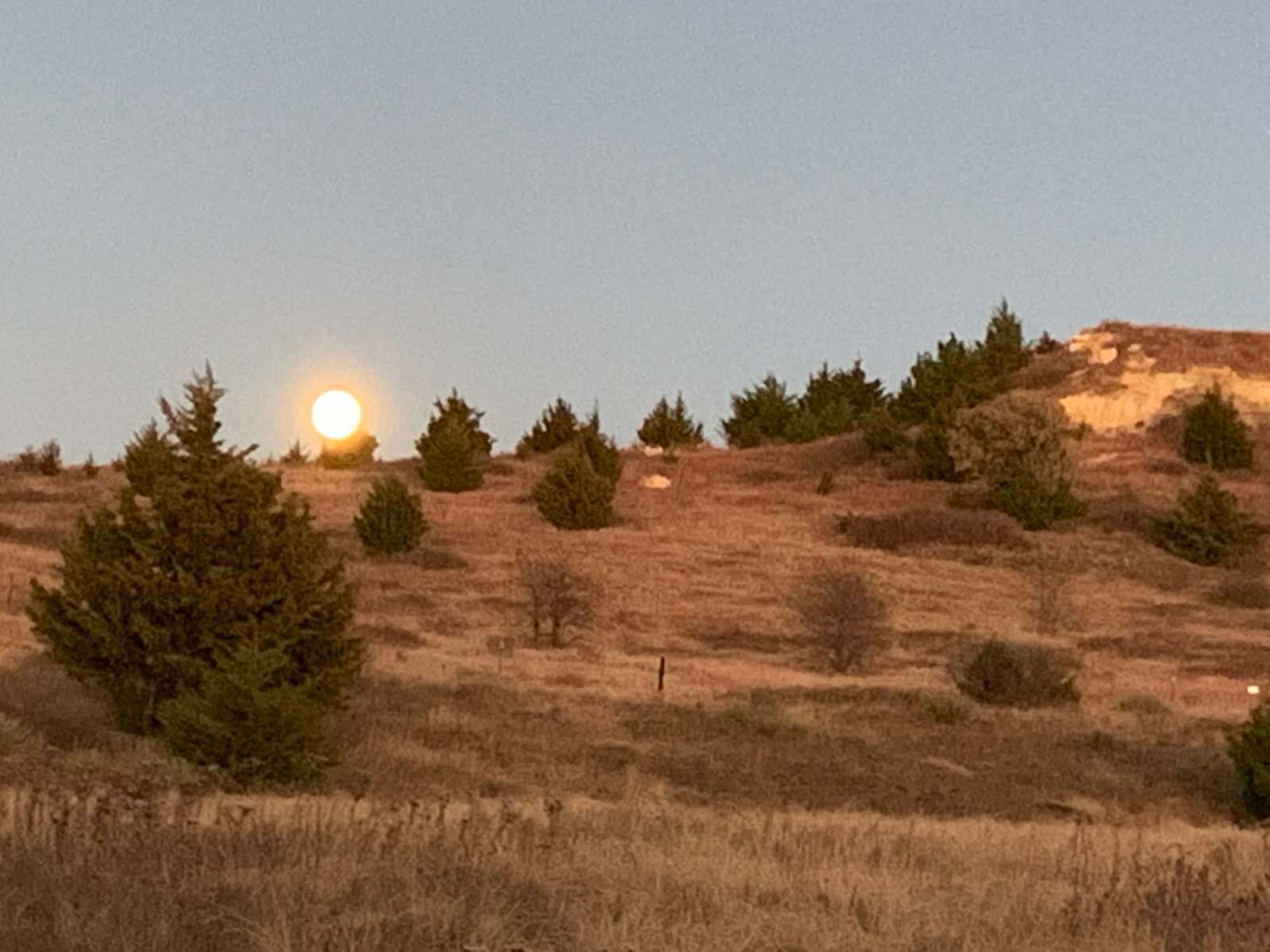Maier Angus Ranch Hipcamp in Natoma, Kansas