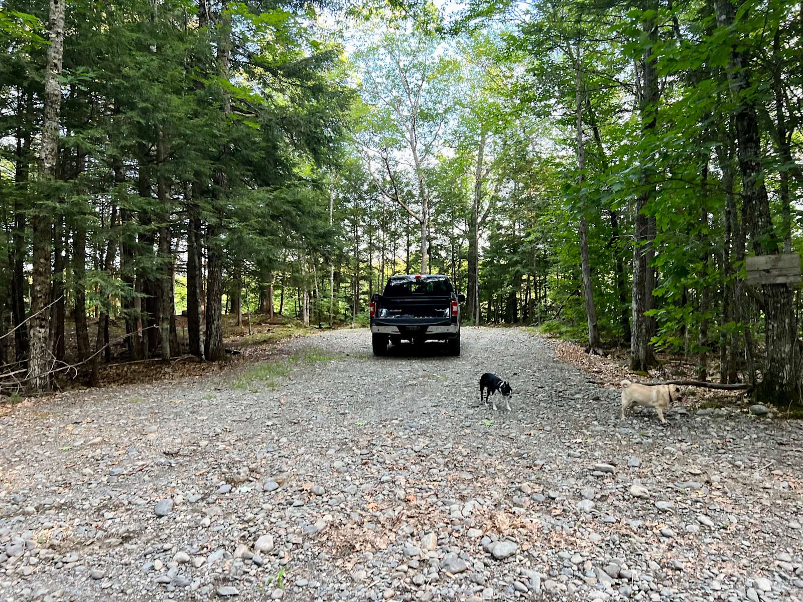 A River Runs Through It Hipcamp in Guilford, Maine
