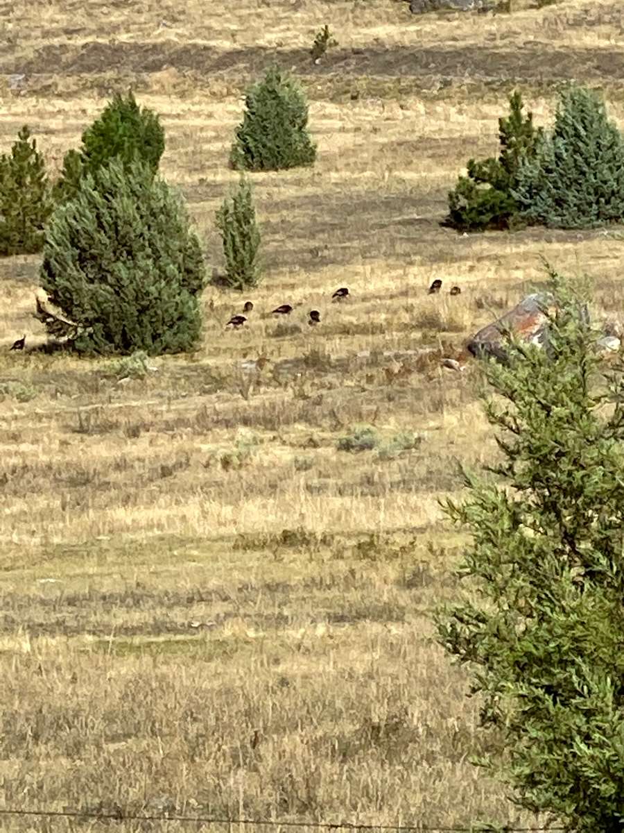 MTN views in Big Arm MT Hipcamp in Big Arm, Montana