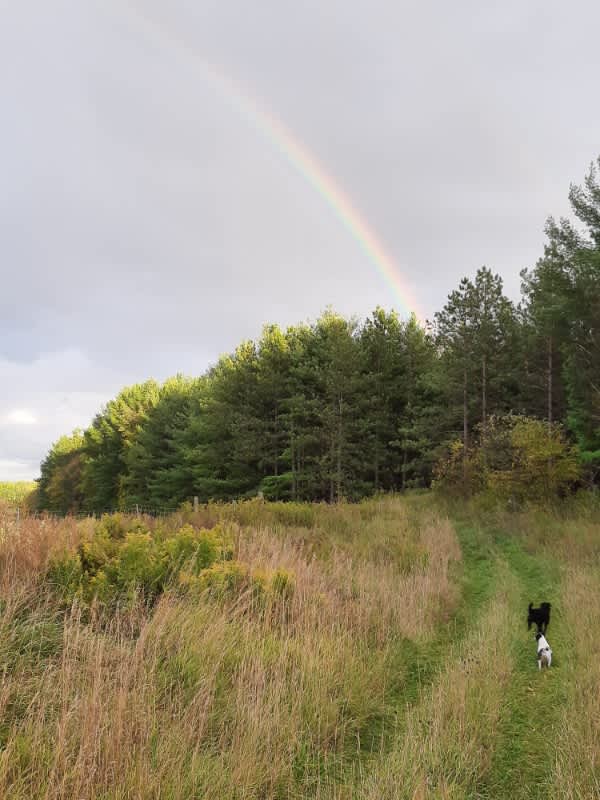 All Sorts Acres Farm Hipcamp in Owen Sound, Ontario