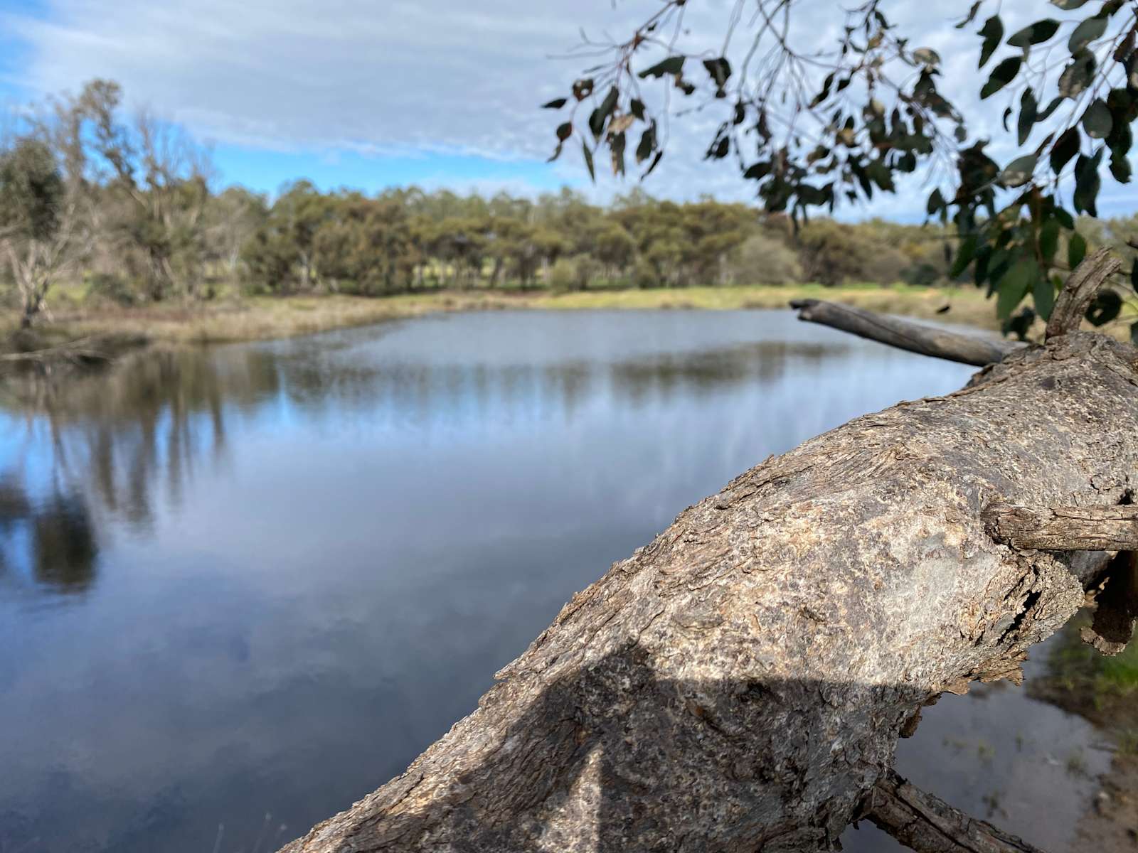 Jam Creek Hipcamp in Dale, Western Australia