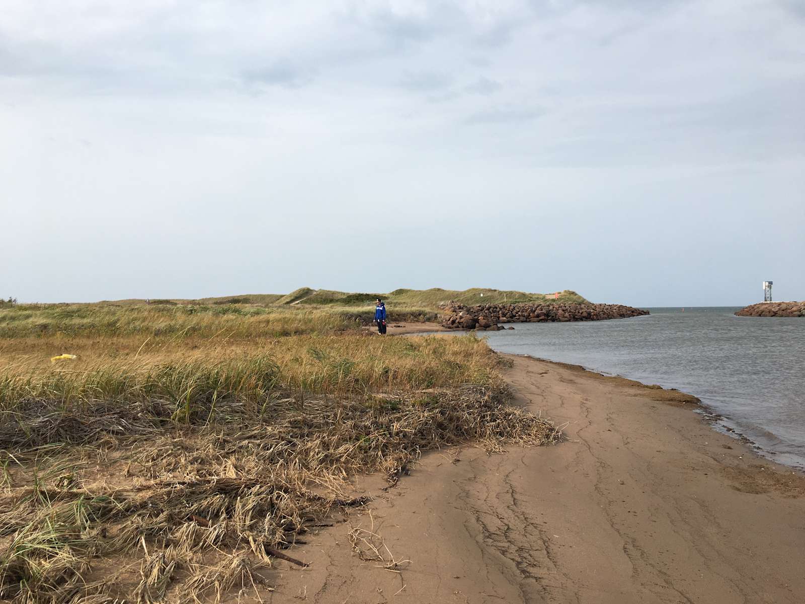 Slow Brook Acres Hipcamp in Murray Corner, New Brunswick