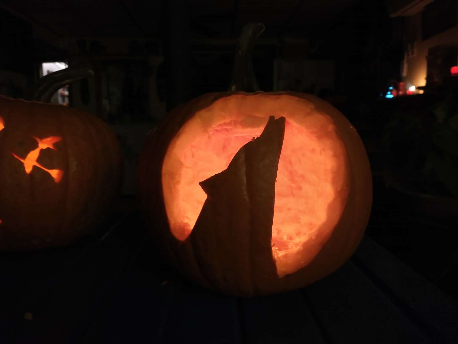 The Growing Farm, North Carolina - Hipcamp in Hot Springs, North Carolina