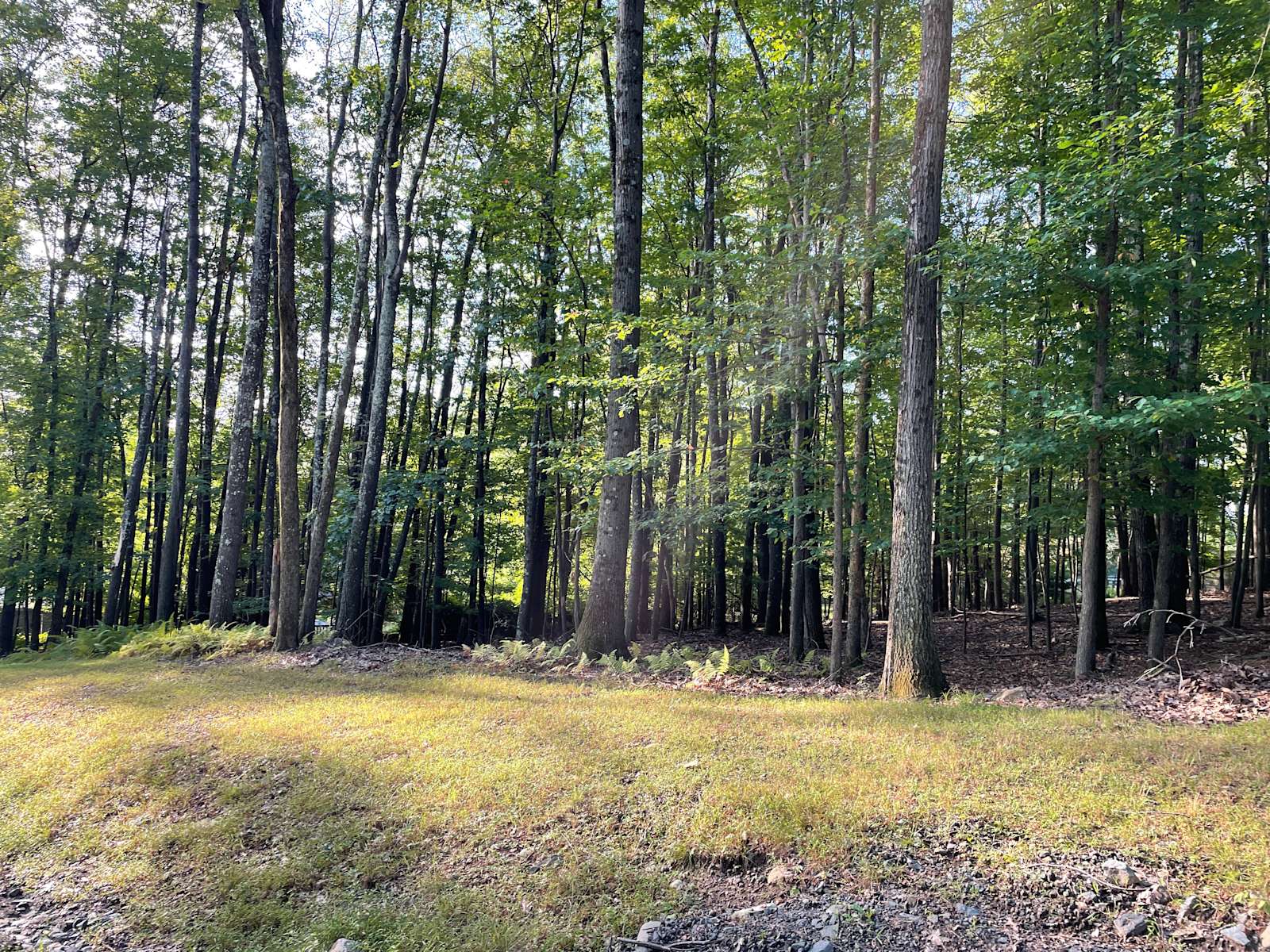 Maple Land Hipcamp in Pine Bush, New York