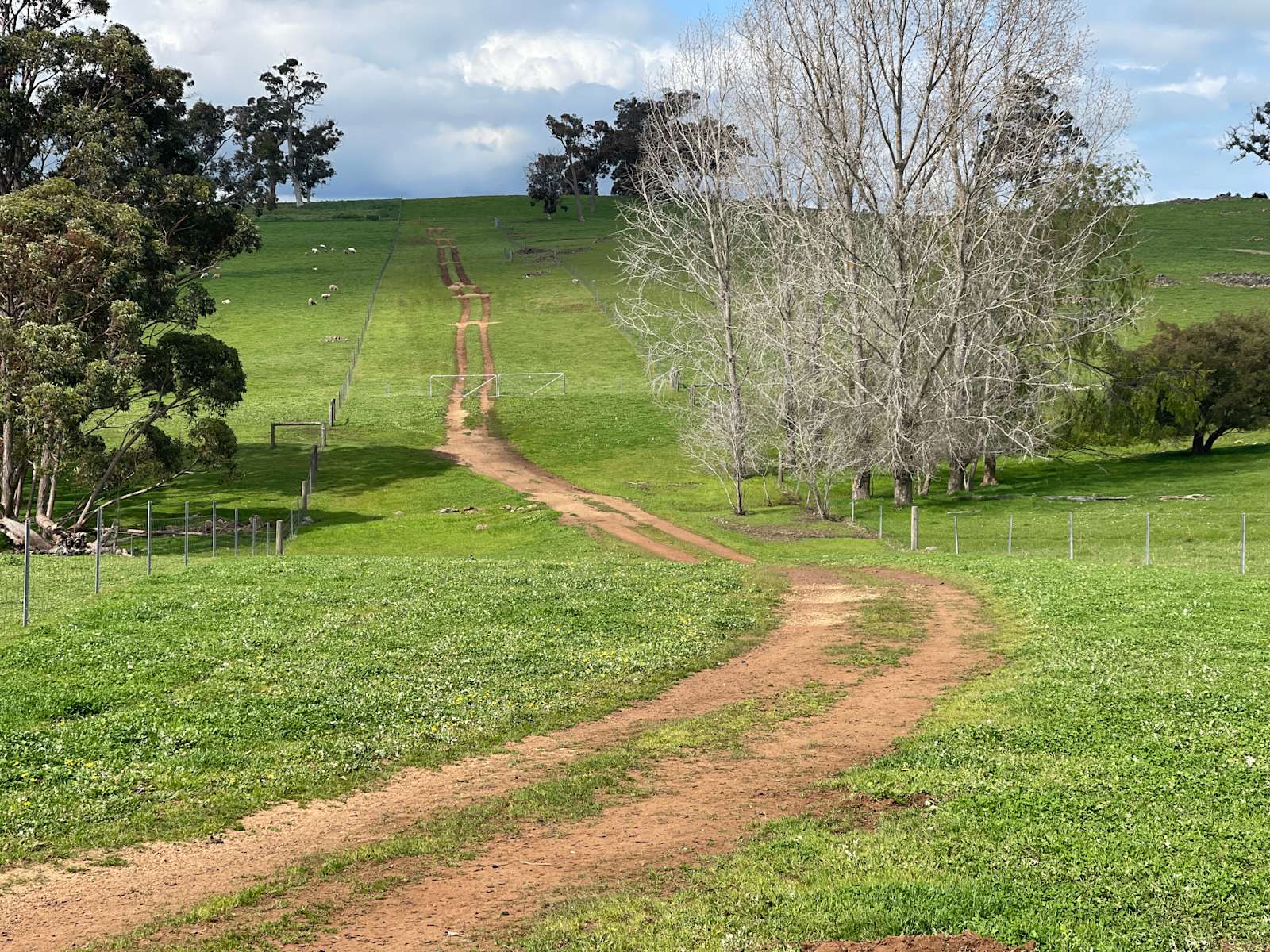 Cloverdale Farm Hipcamp in Bunbury, Western Australia