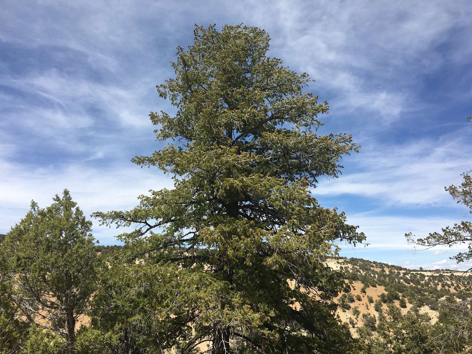 Duchesne County Lookout Earth Camp Hipcamp in Duchesne, Utah