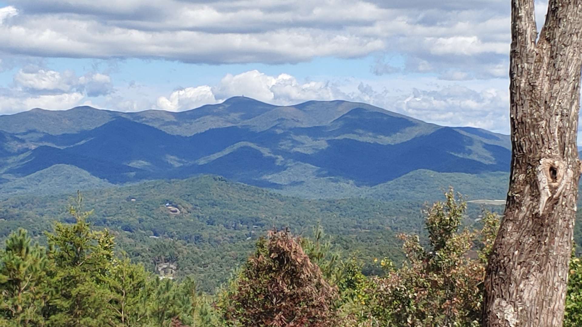 Yellow Chestnut Mtn Hipcamp in ,