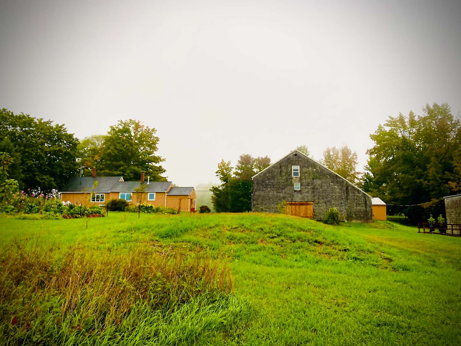 Tender Field Farm Hipcamp in Lewiston, Maine