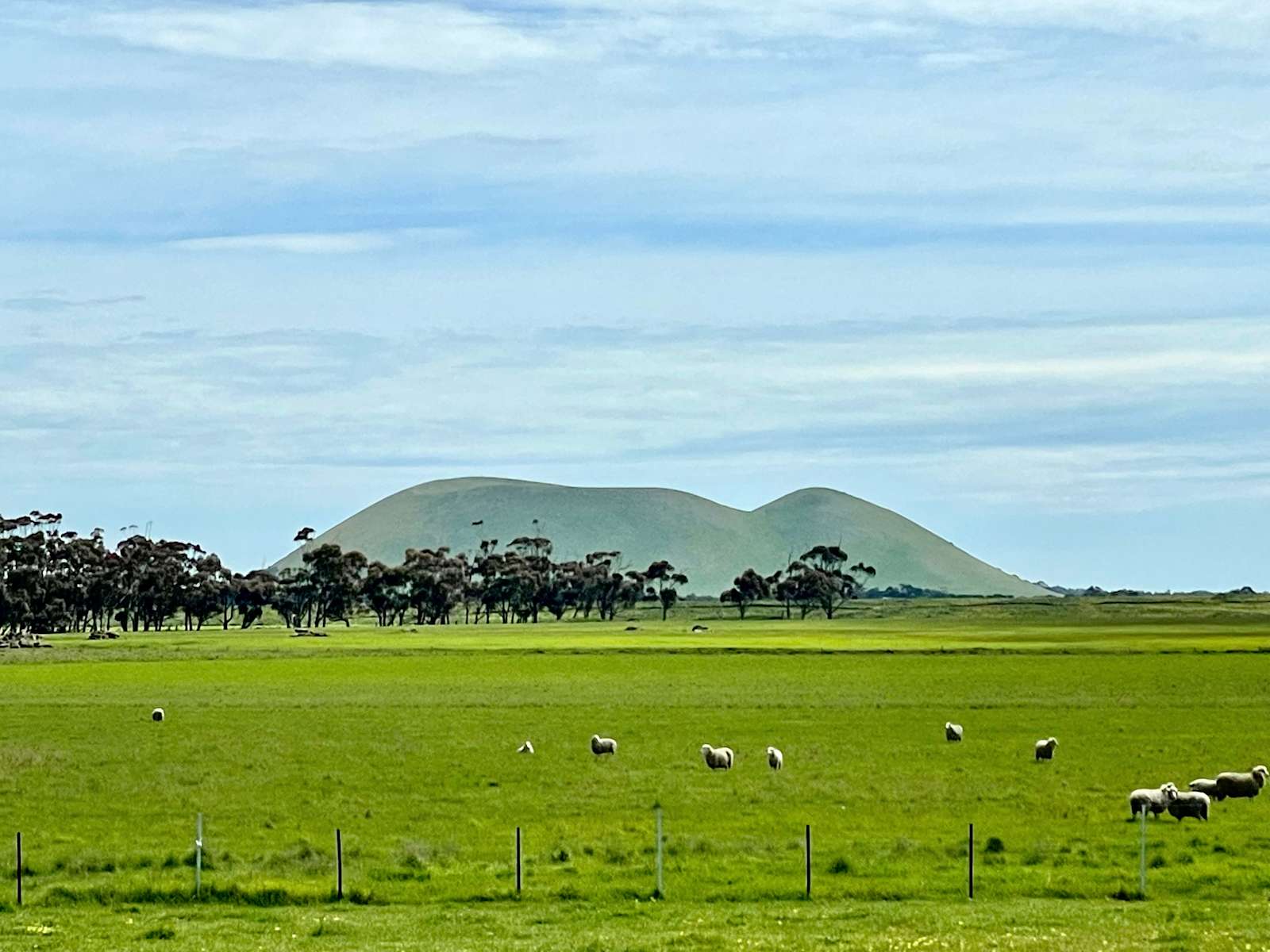 Larra Estate Hipcamp in Derrinallum, Victoria