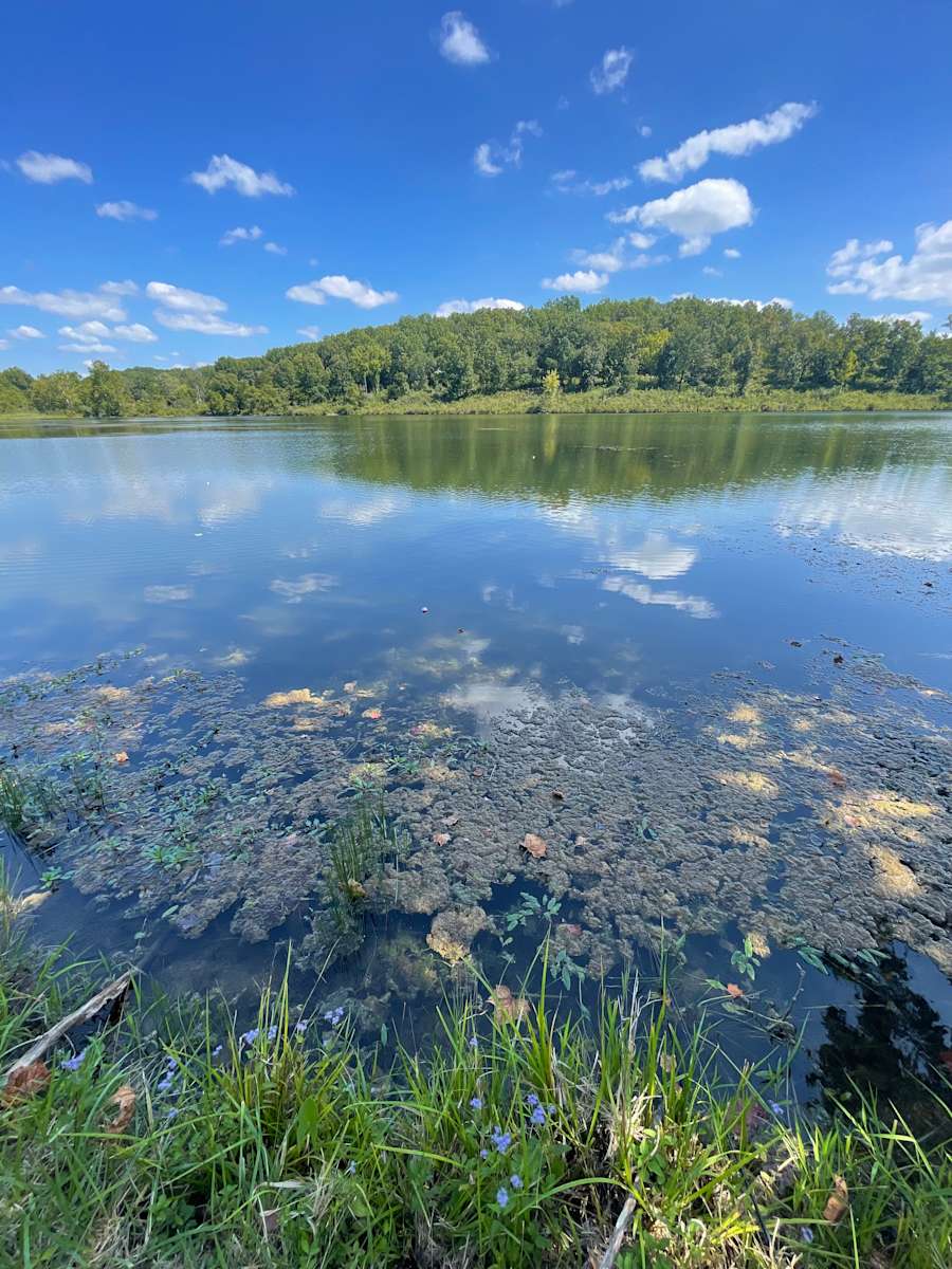 Green acre campground Hipcamp in Eldon, Missouri