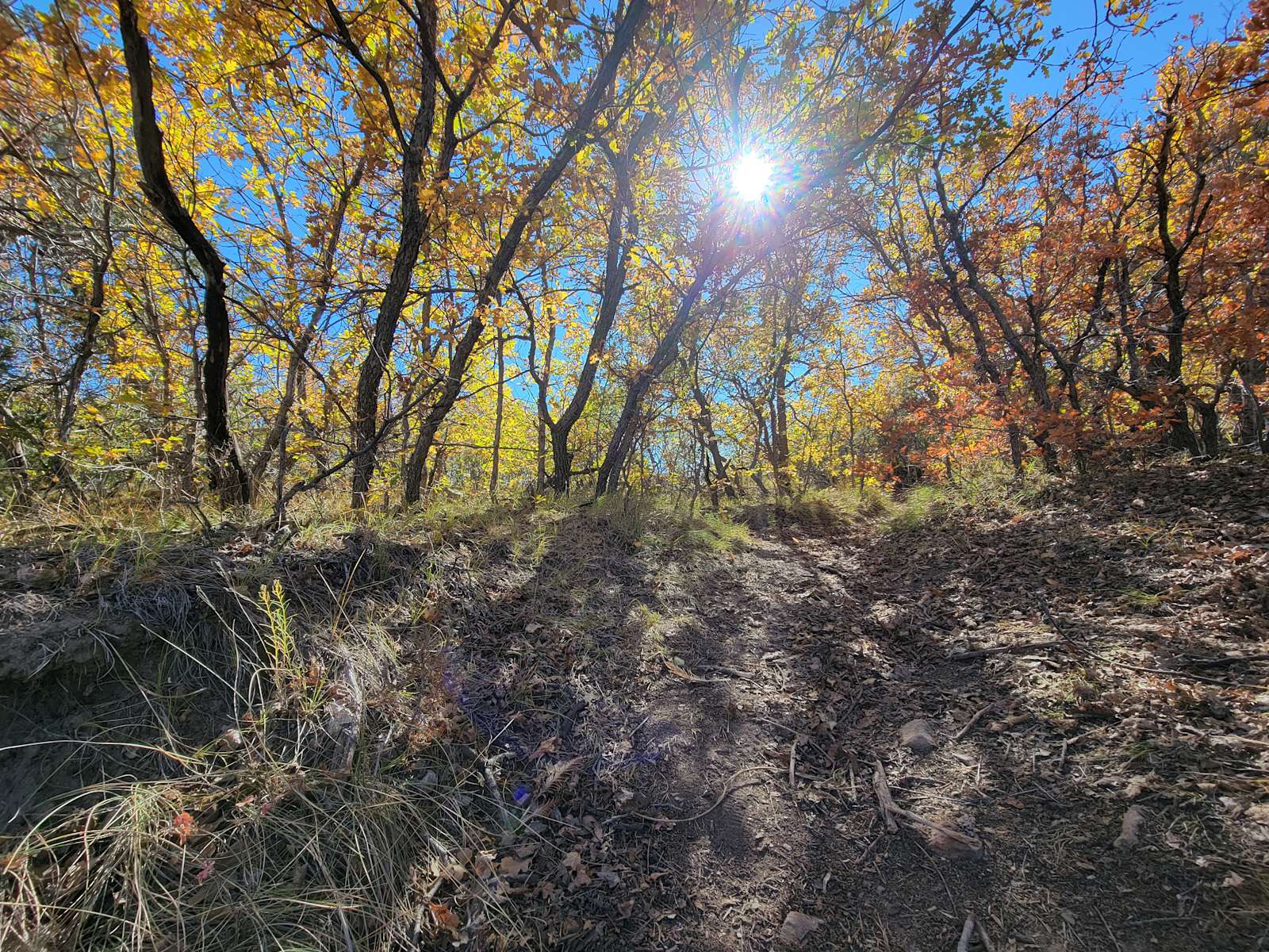 Wet mountain Getaway Hipcamp in Beulah, Colorado