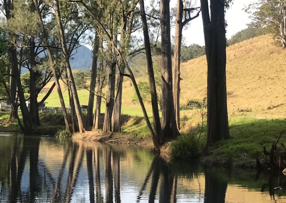 Crystal Creek Springs - Photo 3