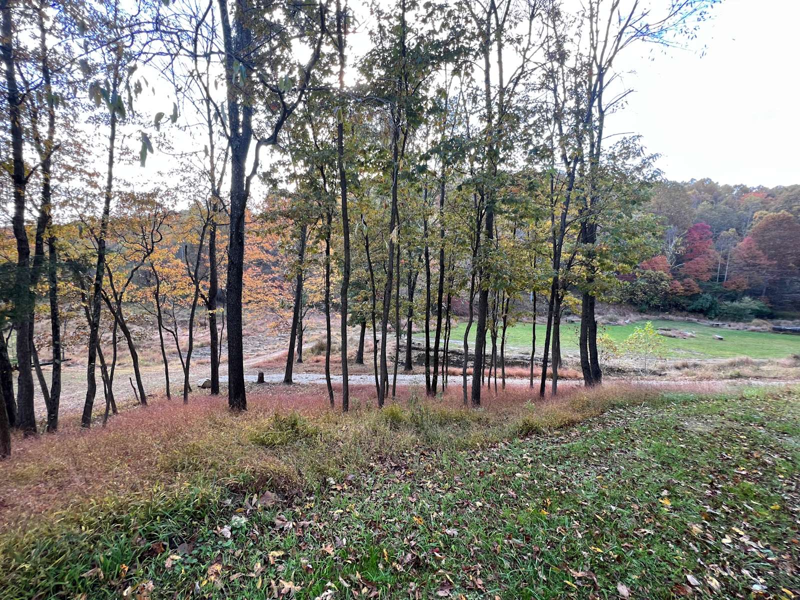 Crooked Creek Holler Hipcamp in Frazeysburg, Ohio